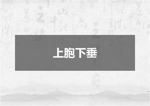 上胞下垂