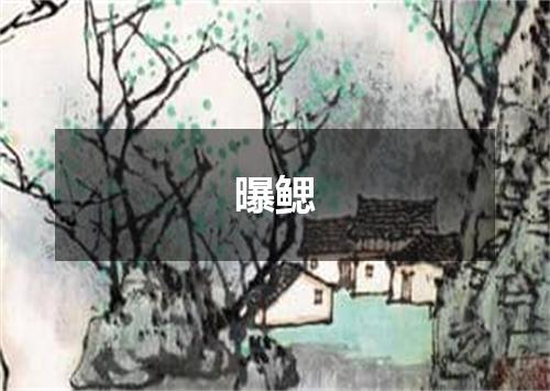 曝鳃