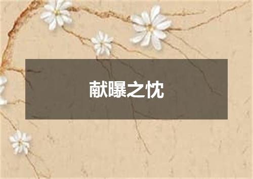 献曝之忱