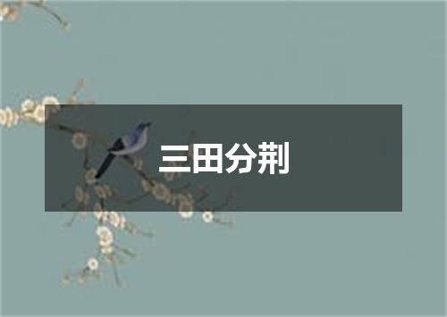 三田分荆