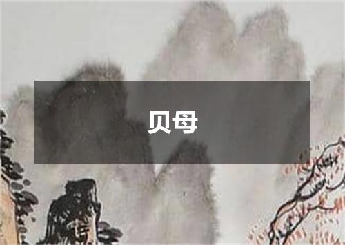 贝母
