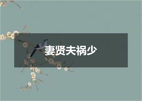 妻贤夫祸少