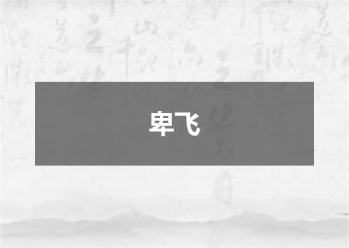 卑飞