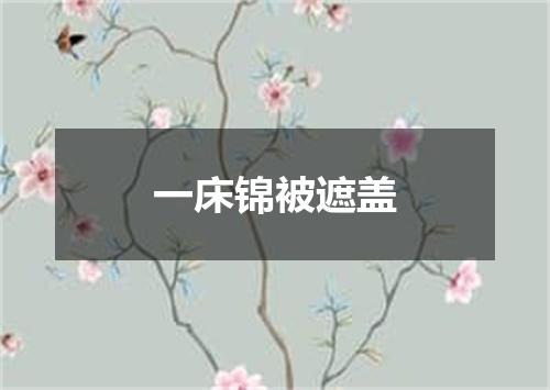 一床锦被遮盖
