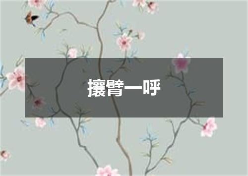 攘臂一呼