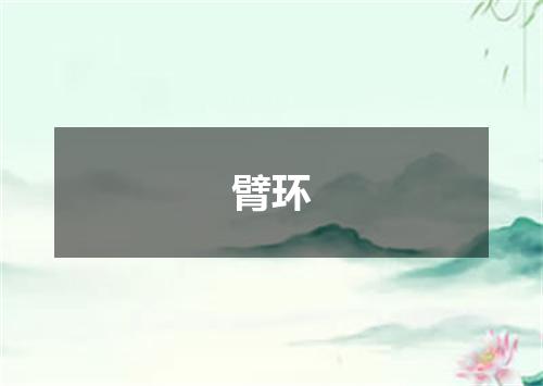 臂环