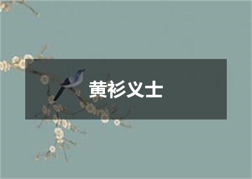 黄衫义士