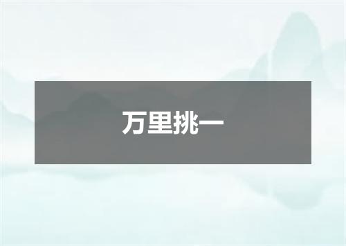 万里挑一