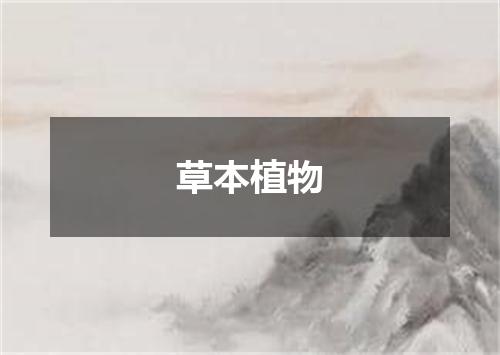 草本植物