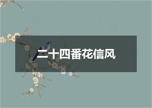 二十四番花信风