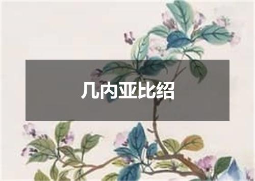 几内亚比绍