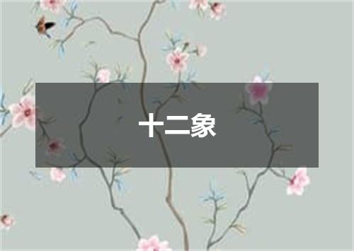 十二象