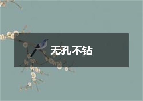 无孔不钻
