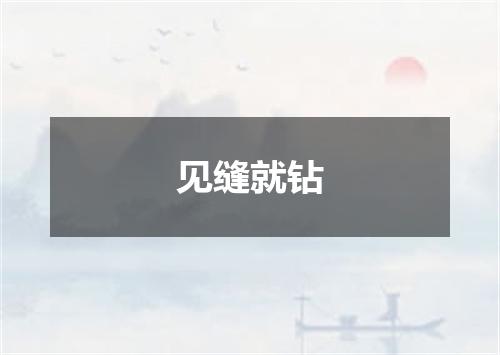 见缝就钻