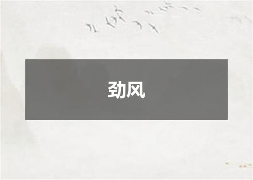 劲风