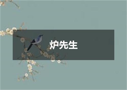 炉先生