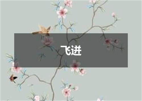 飞迸