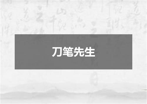 刀笔先生
