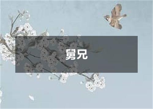 舅兄