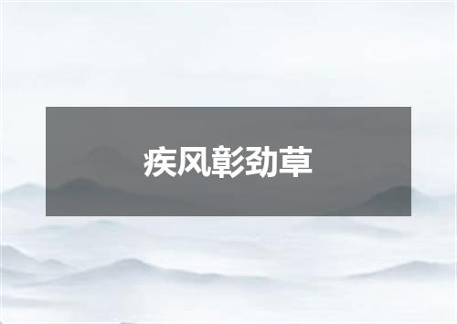 疾风彰劲草