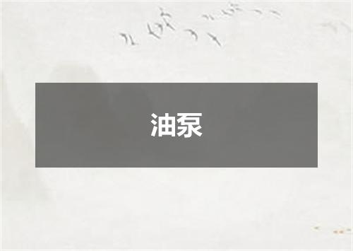 油泵