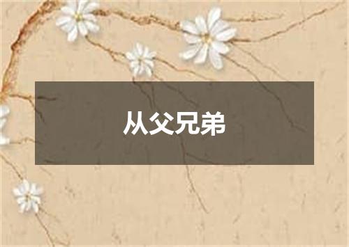 从父兄弟