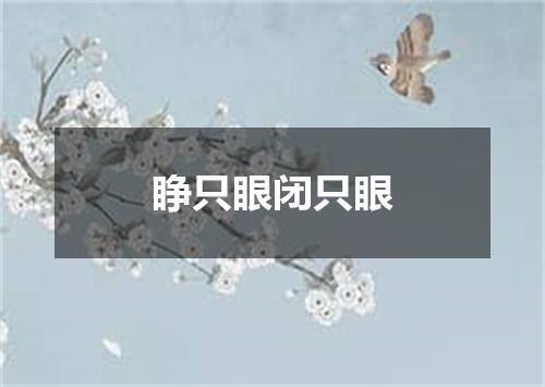 睁只眼闭只眼