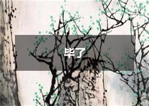 毕了