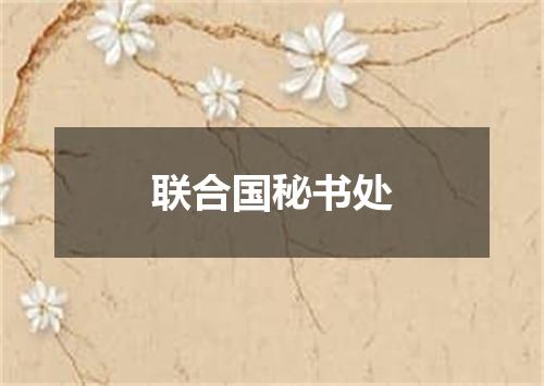 联合国秘书处