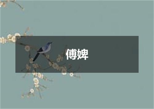 傅婢