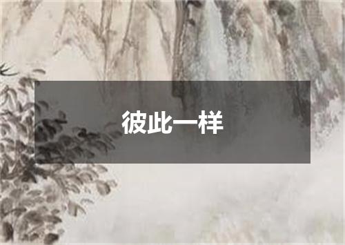 彼此一样