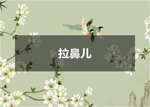 拉鼻儿