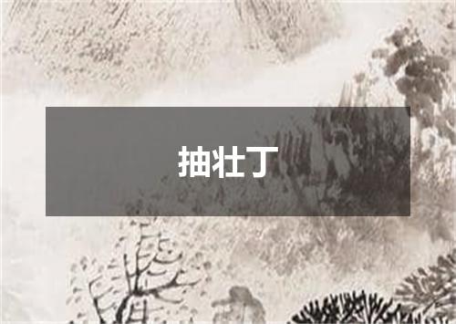 抽壮丁