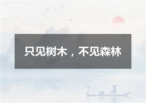 只见树木，不见森林