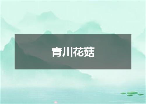 青川花菇