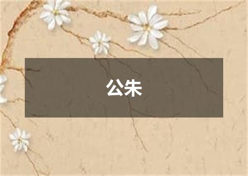 公朱