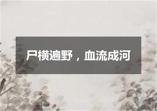 尸横遍野，血流成河