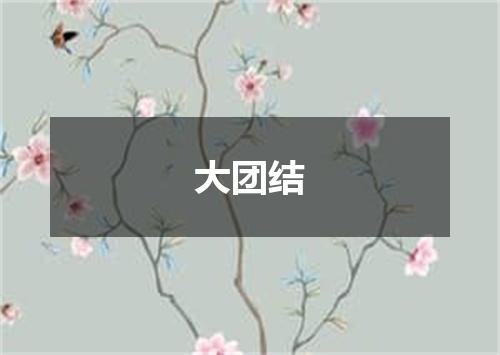 大团结