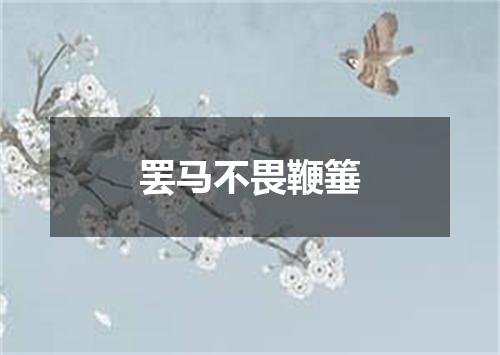 罢马不畏鞭箠