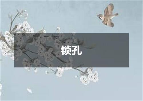 锁孔