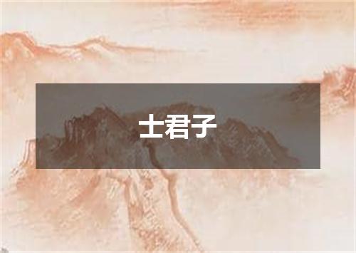 士君子