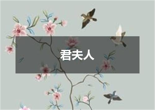 君夫人