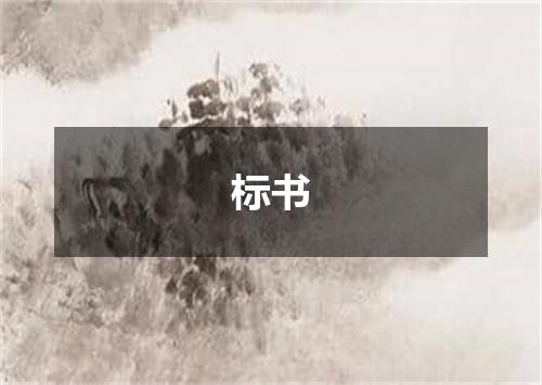 标书