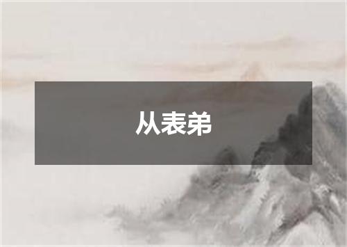 从表弟