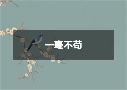 一毫不苟