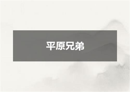 平原兄弟
