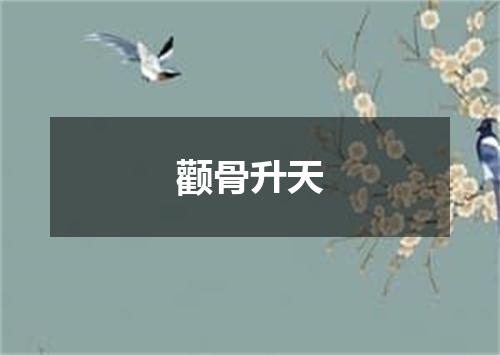 颧骨升天