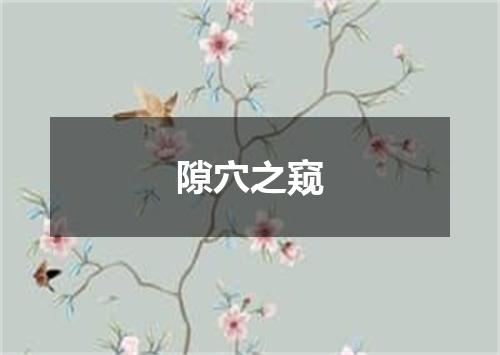 隙穴之窥