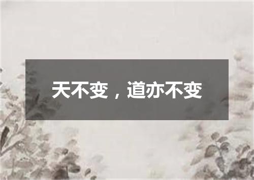 天不变，道亦不变