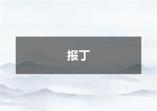 报丁